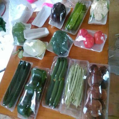 磁縣增鑫生態園