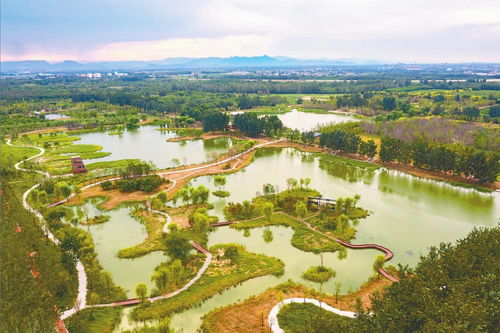 水清樹(shù)茂生態(tài)園