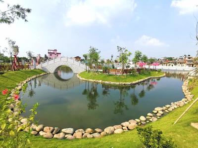 魚塘變公園、村莊成景區,東莞寒溪水村繪就農村美景