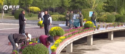 御河生態(tài)園第三屆金秋花展籌備中