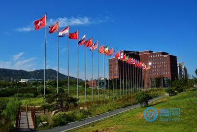 中德生態(tài)園集聚強(qiáng)勁帶動力,助力青島西海岸新區(qū)穩(wěn)健發(fā)展!