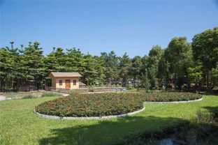 麻涌最美生態(tài)園 免費(fèi)入園，盡享自然饋贈(zèng)