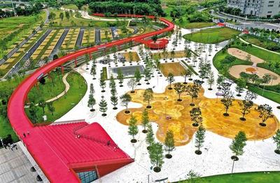 綠網織城，公園筑夢 260座公園星羅棋布，繪就生態光明新畫卷
