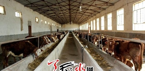 調結構提品質 天水市特色主導產(chǎn)業(yè)提速發(fā)展 肉制品及副產(chǎn)品加工