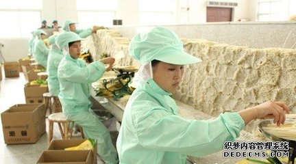 肉制品及農(nóng)副產(chǎn)品深加工項目可行性研究報告